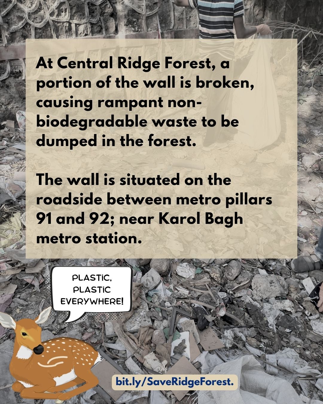 Save Central Ridge Forest