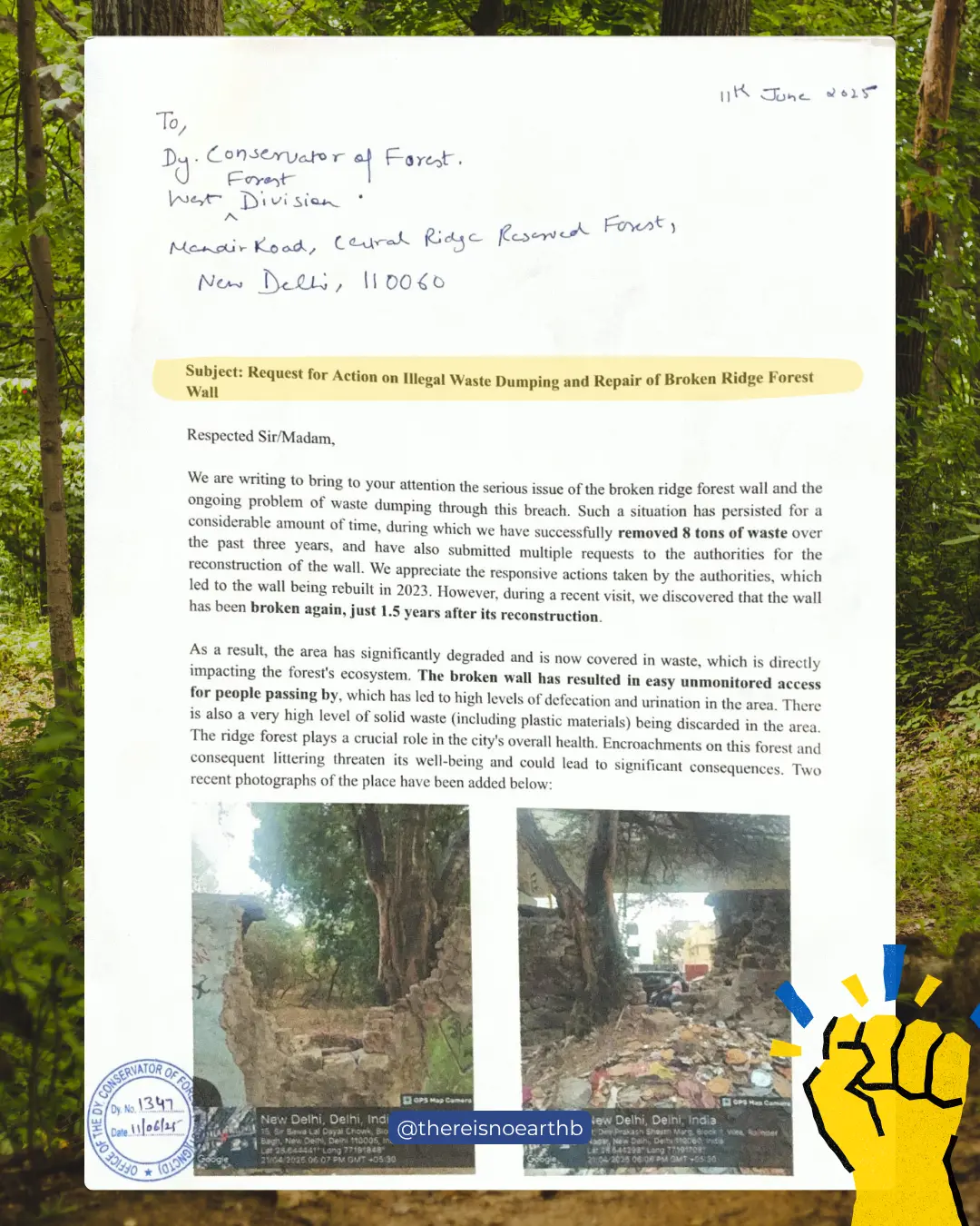 Ridge Forest image